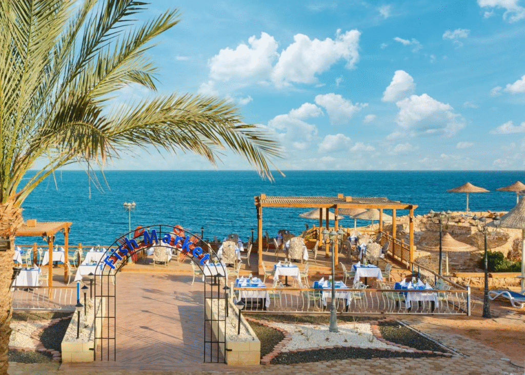 Sharm El Sheikh Ausflüge – Schnorcheln im Roten Meer